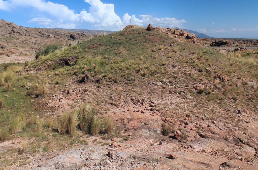 Ctenomys heniacamiare, habitat in central Argentina