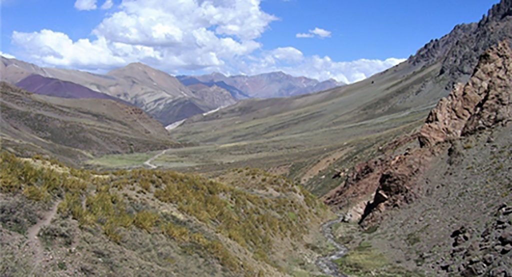 Phyllotis pehuenche, habitat in Mendoza province, Argentina